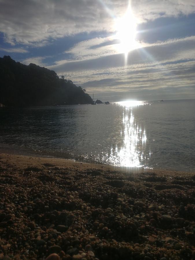 Hostal Plaja I Pati De Can Plaja Palafrugell Bagian luar foto