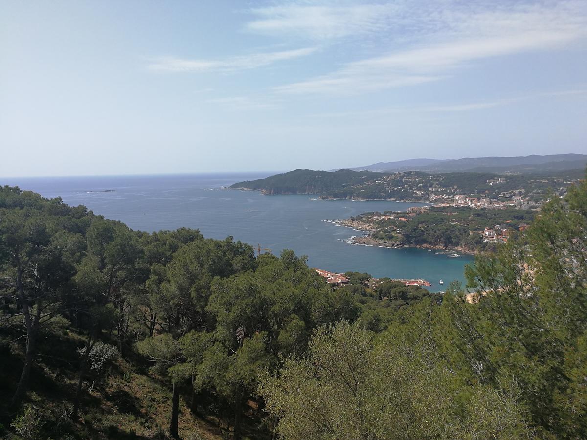 Hostal Plaja I Pati De Can Plaja Palafrugell Bagian luar foto